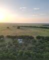 1625 County Road 281 - Photo 17