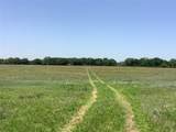 1625 County Road 281 - Photo 6