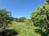 TBD Hwy 67-377 - Photo 23