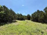 TBD Hwy 67-377 - Photo 8
