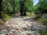 TBD Pr 2901 - Photo 13