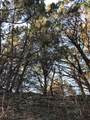 Lot 694 Balcones Lane - Photo 2