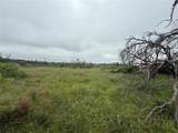 TBD779 Feather Bay Drive - Photo 14