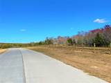 12601 Sue Lane - Photo 5