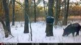 53 AC Cr 3757 - Photo 15