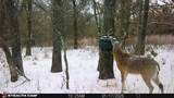 53 AC Cr 3757 - Photo 16