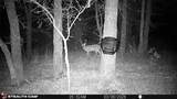 53 AC Cr 3757 - Photo 17