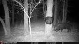53 AC Cr 3757 - Photo 18