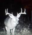 16513 Fm 1159 - Photo 5