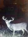 16513 Fm 1159 - Photo 7