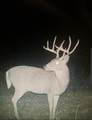16513 Fm 1159 - Photo 8
