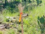 Lot 290 Beacon Drive - Photo 3