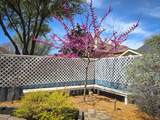 2512 Blue Ridge Trail - Photo 35
