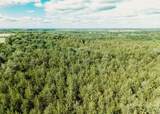 TBD Cr 2975 - Photo 13