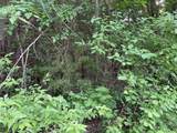 9994 Twin Creeks Circle - Photo 12