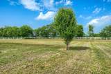 15396 Saddle Ridge Circle - Photo 27