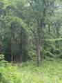 0 County Road 4112 - Photo 6