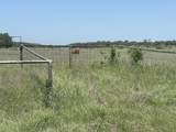 4730 Bugscuffle Road - Photo 4