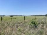 4730 Bugscuffle Road - Photo 5