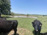 4730 Bugscuffle Road - Photo 6