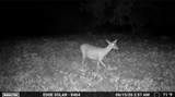 0000 County Road 2610 - Photo 36