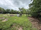 TBD 125 Acres Fm 642 - Photo 10