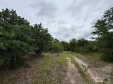 TBD 125 Acres Fm 642 - Photo 19