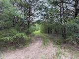 TBD 125 Acres Fm 642 - Photo 20