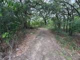 TBD 125 Acres Fm 642 - Photo 22