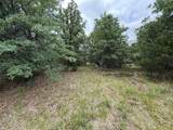 TBD 125 Acres Fm 642 - Photo 29