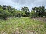 TBD 125 Acres Fm 642 - Photo 30