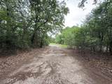TBD 125 Acres Fm 642 - Photo 5