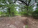 TBD 125 Acres Fm 642 - Photo 7