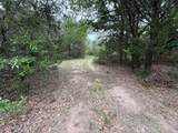 TBD 27 Acres Fm 642 - Photo 18