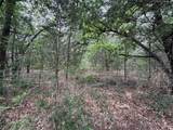TBD 27 Acres Fm 642 - Photo 23