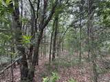 TBD 27 Acres Fm 642 - Photo 24
