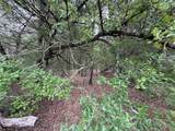 TBD 27 Acres Fm 642 - Photo 29