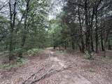 TBD 27 Acres Fm 642 - Photo 30