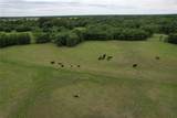 829 Farm Road 71 - Photo 13