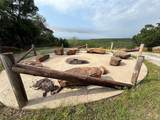 317 Canyon Lake Road - Photo 15