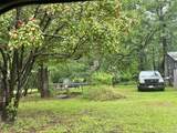 14178 Roy Bean Drive - Photo 1