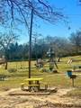 14178 Roy Bean Drive - Photo 3