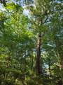 Lot 377 Timber Ridge - Photo 34