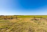 454 Us Hwy 180 - Photo 2
