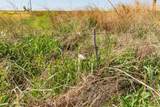 454 Us Hwy 180 - Photo 6