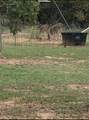 140 Bankhead Highway - Photo 31