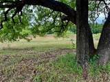 3635 County Road 424 - Photo 35