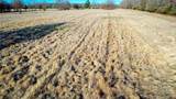 1200 County Road 1255 - Photo 3