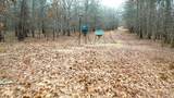 1200 County Road 1255 - Photo 33