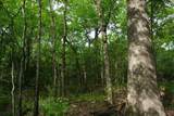 TBD2 County Road 1200 - Photo 1